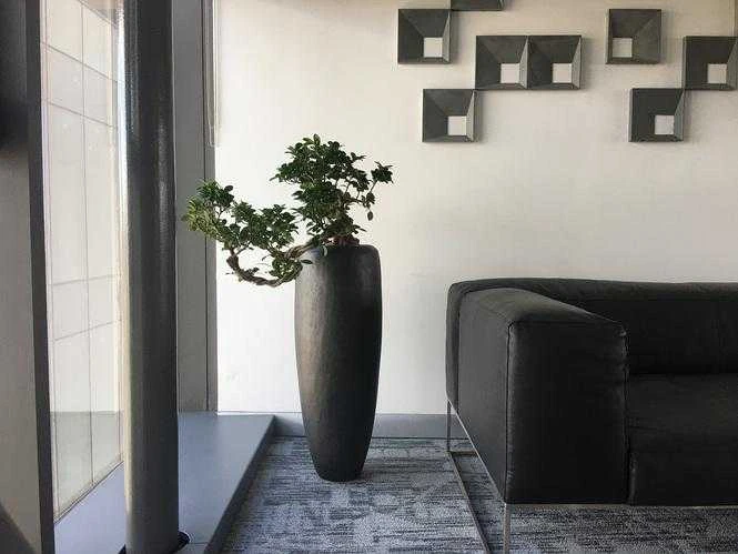 Fleur Ami Vokietija fleur ami Ø30x80cm vazonas New Loft Vase 80, juodas iron