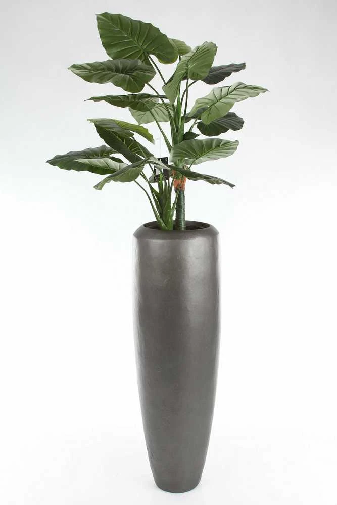 Fleur Ami Vokietija fleur ami Ø30x80cm vazonas New Loft Vase 80, anthracite
