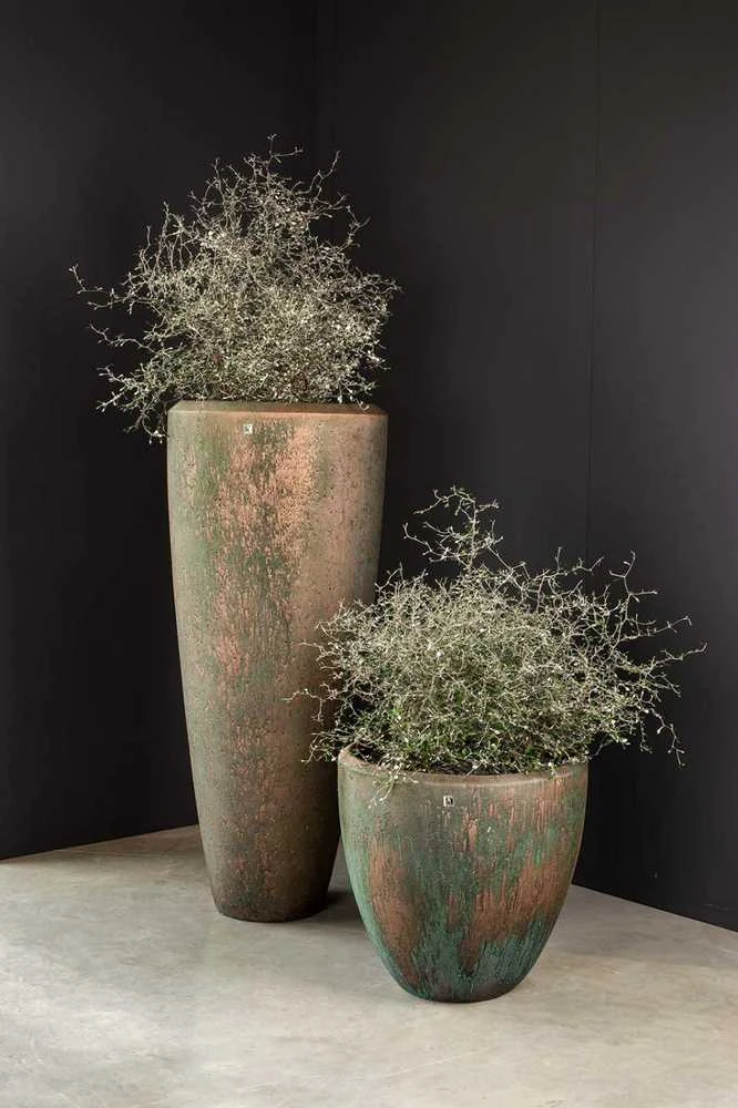 Fleur Ami Vokietija fleur ami Ø31x70cm vazonas Atlantis 70, oxidized bronze