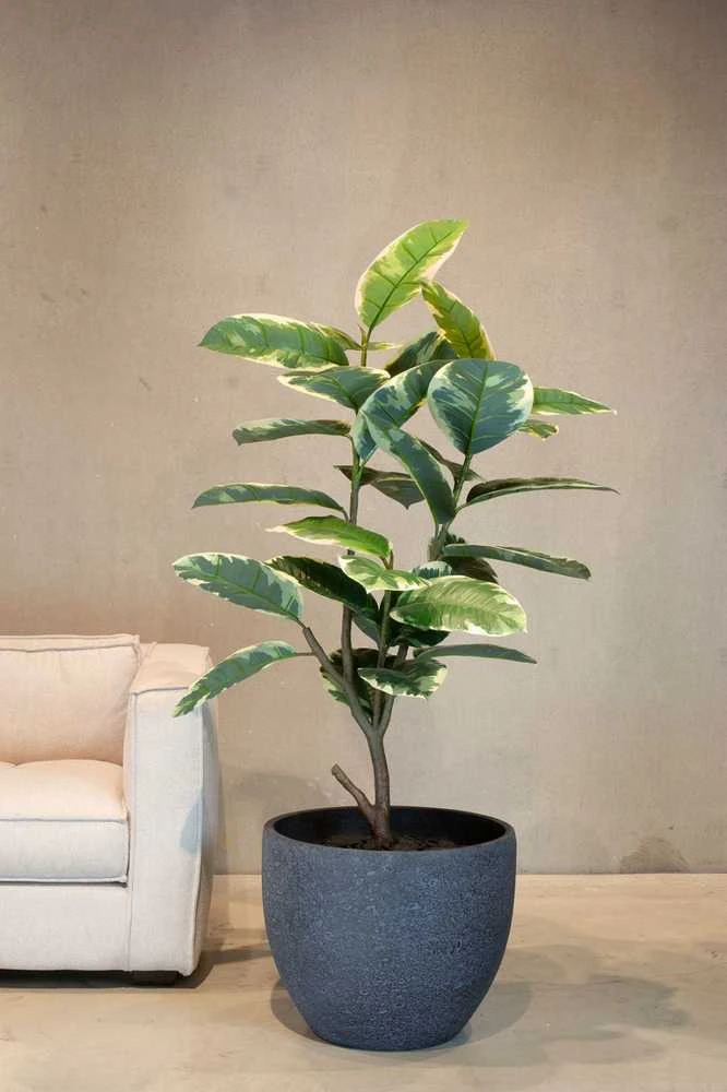 Fleur Ami Vokietija fleur ami Ø43x36cm vazonas Gritto 43, anthracite