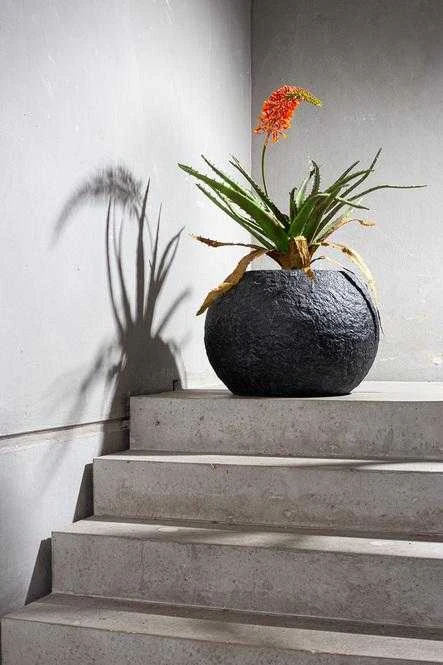 Fleur Ami Vokietija fleur ami Ø60x43cm vazonas Rocky Globe 60, juodas granite