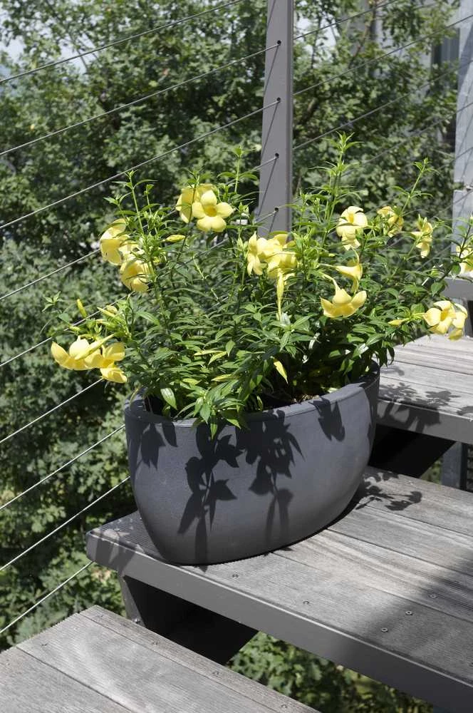 Athena Nicoli 60x20x18cm lovelis Iris 60 antracito spalvos