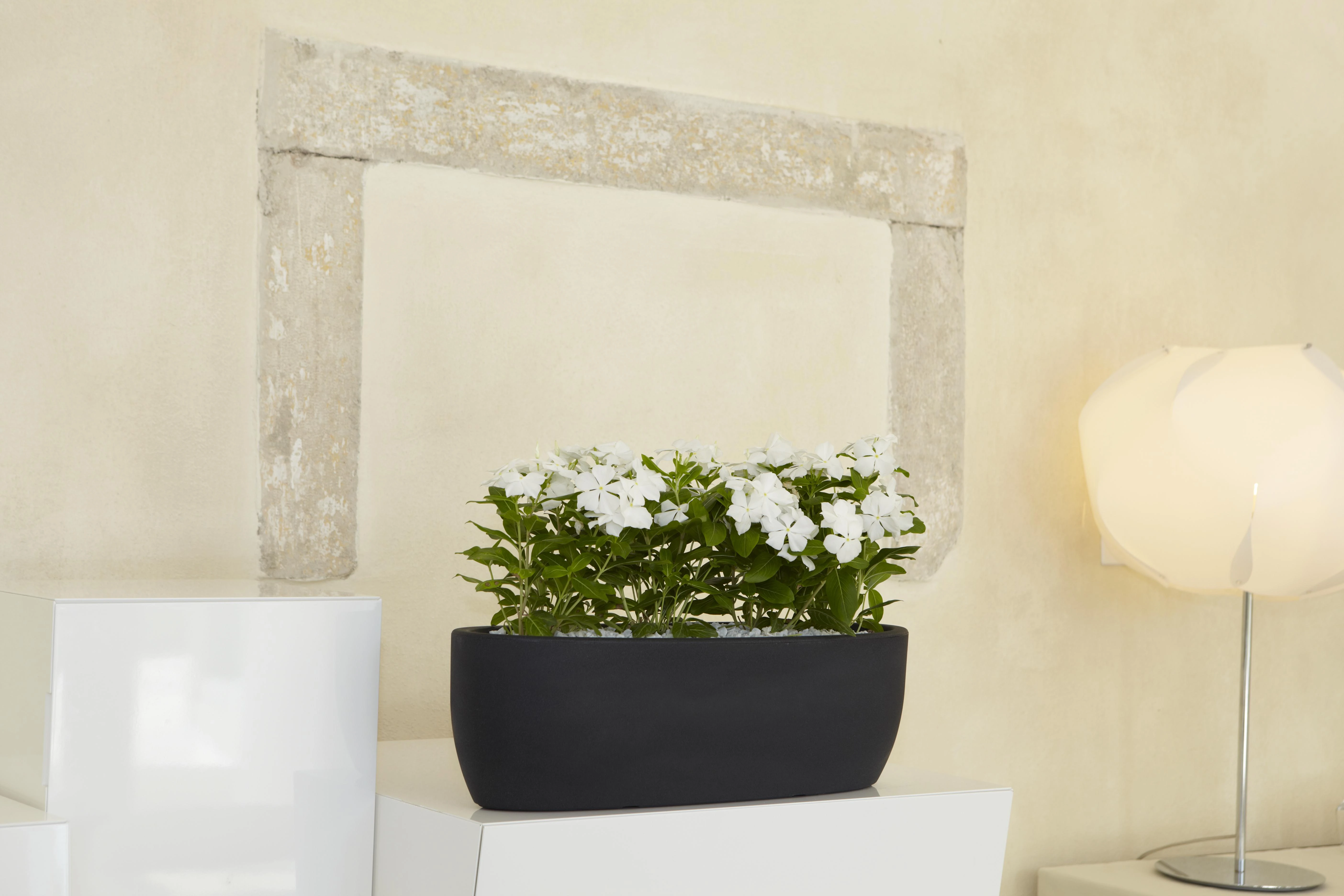 Athena Nicoli 60x20x18cm lovelis Iris 60 antracito spalvos