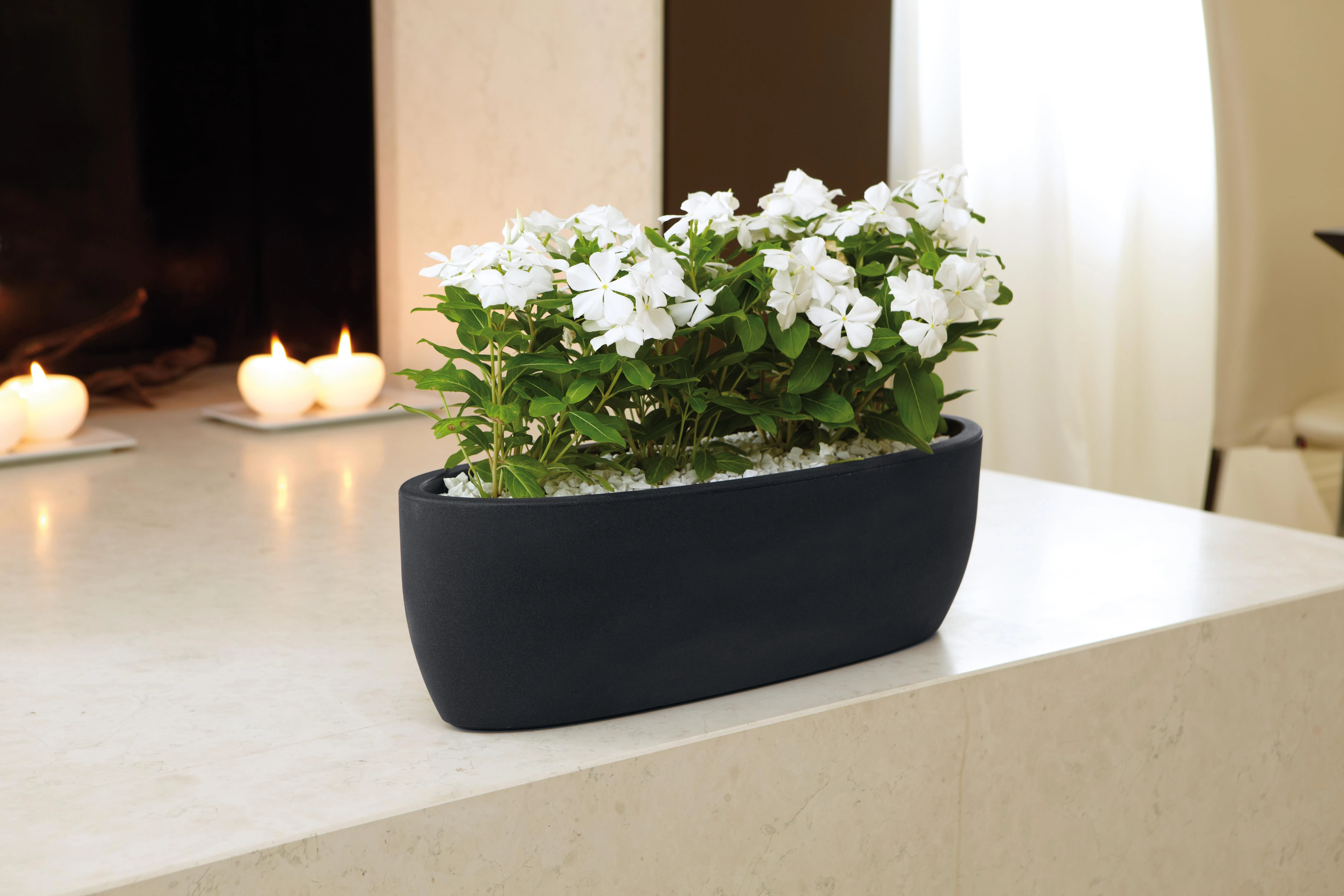 Athena Nicoli 60x20x18cm lovelis Iris 60 antracito spalvos