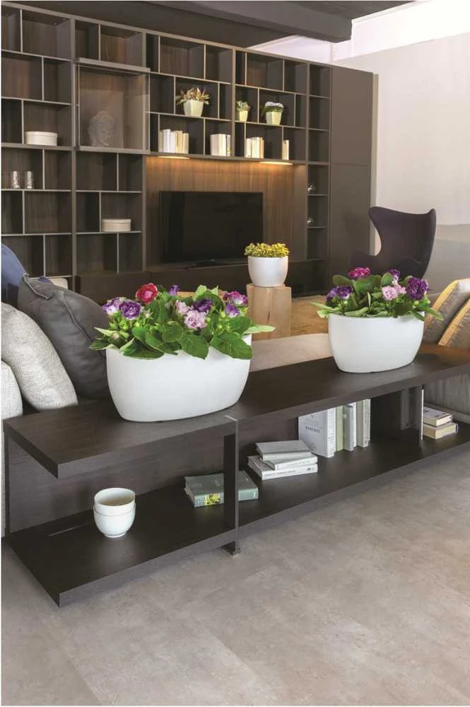 Nicoli 50x29x23cm lovelis Athena 50 baltas