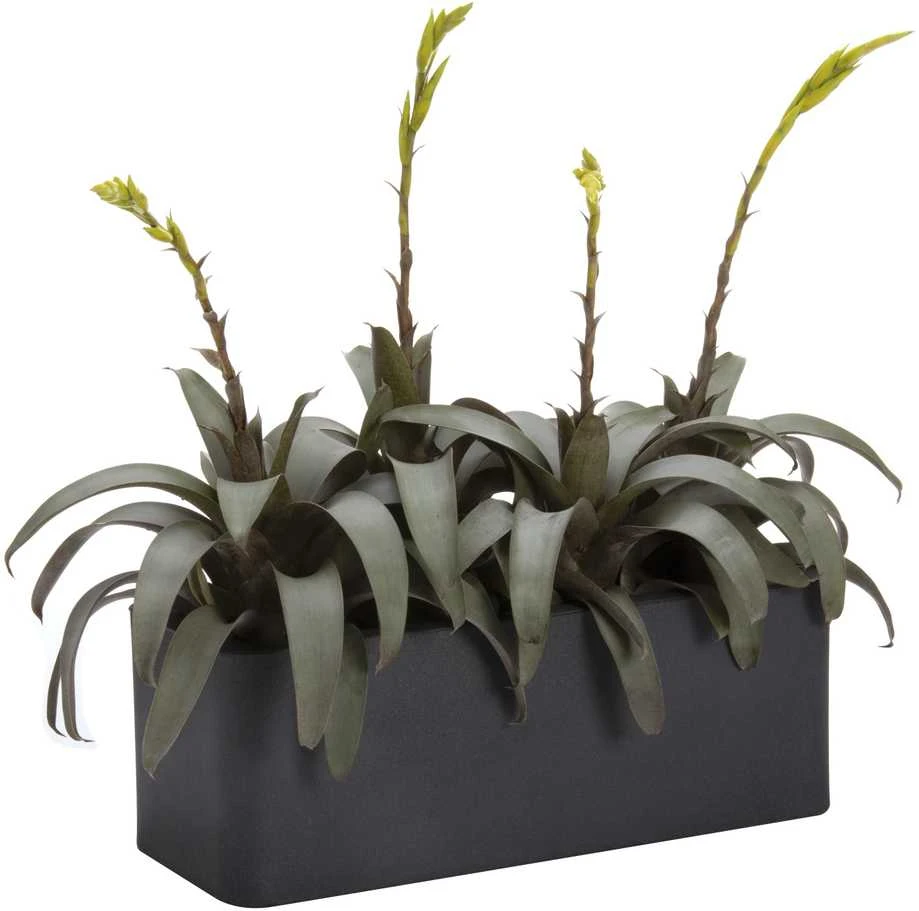 Athena Nicoli 60x20x18cm lovelis Iris 60 antracito spalvos