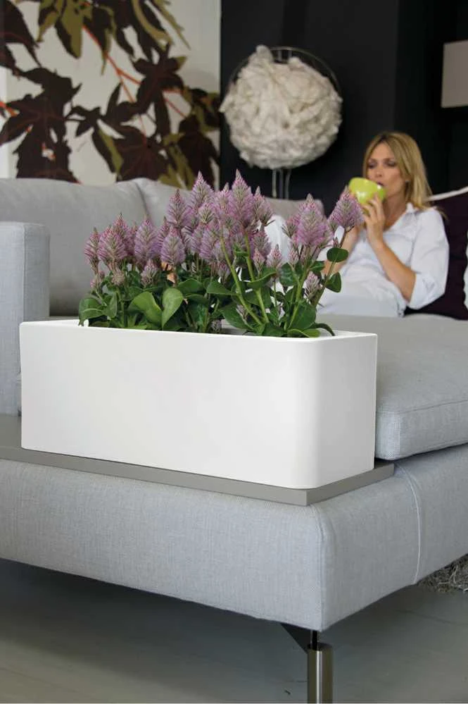 Nicoli 50x20x18cm lovelis Calypso Matt 50 baltos spalvos