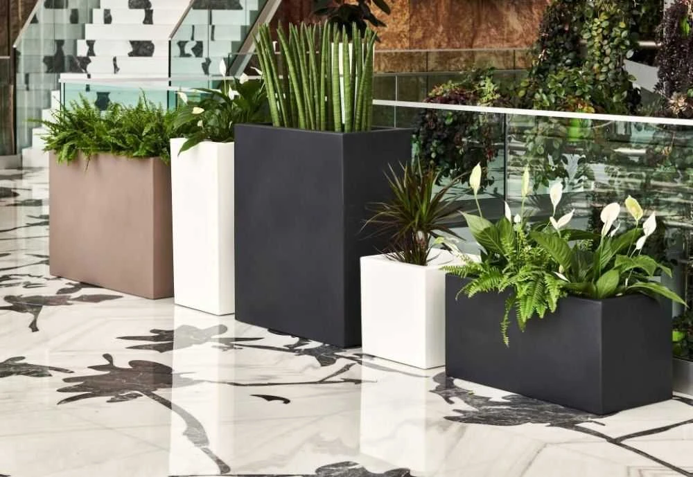 Teraplast Italija Teraplast 99x39x70cm vazonas Schio Tower 100 antracito spalvos