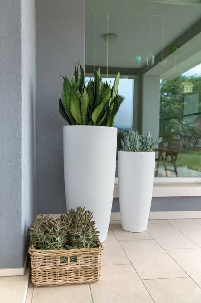 Nicoli ø33x70cm vazonas Talos Matt 33 baltos spalvos