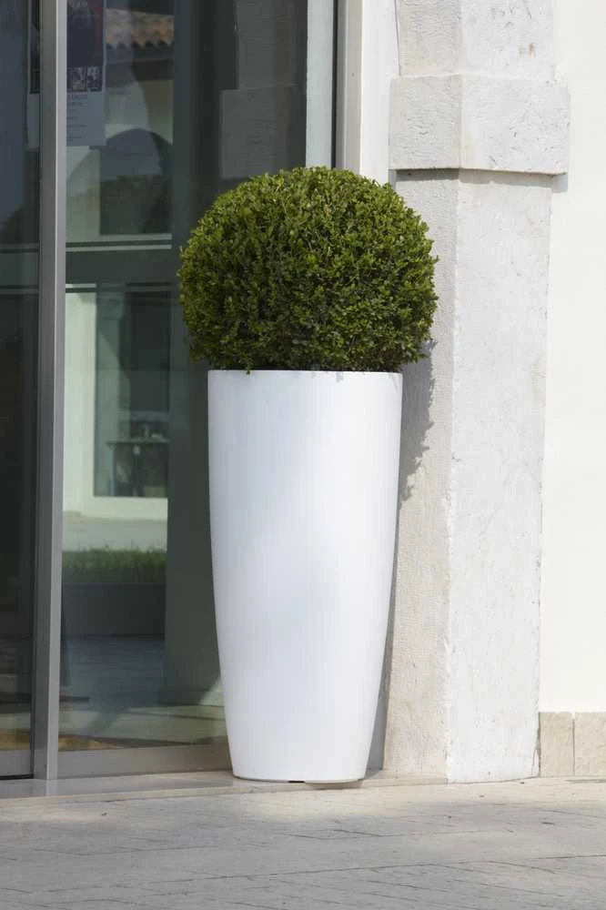 Nicoli ø43x90cm vazonas Talos Matt 43 baltos spalvos
