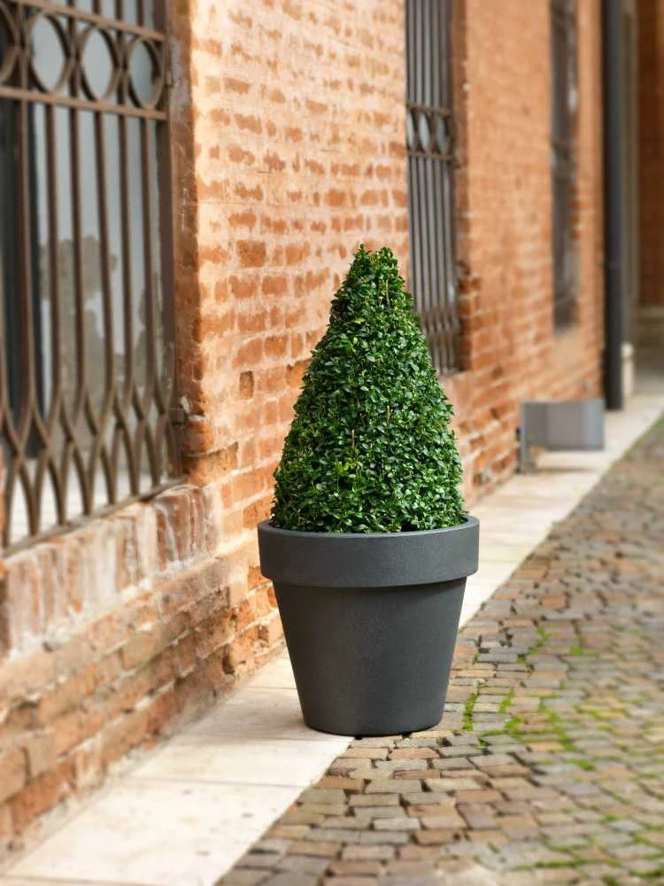 Teraplast Italija Teraplast ø120x108cm vazonas Standard One 120, antracito spalvos