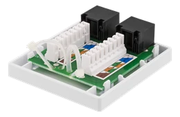 Neapsaugotas tinklo lizdas, UTP 2xRJ45, Cat6 DELTACO balta / VR-219
