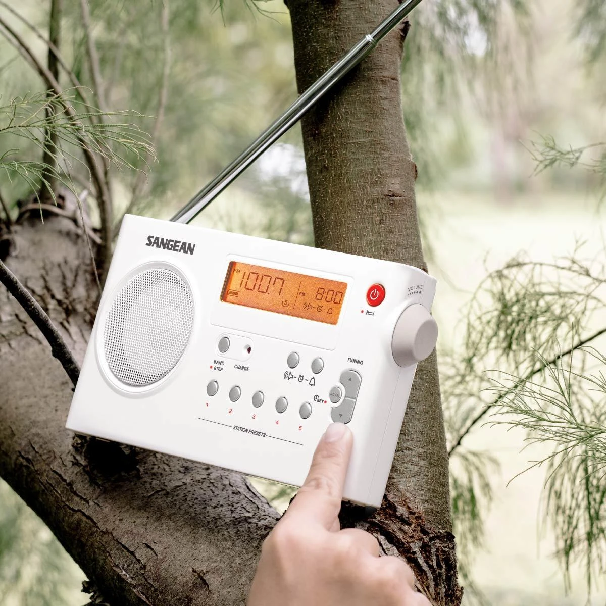 Radijas Sangean Digital Tuning AM / FM, baltas / PR-D7
