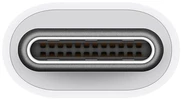 Apple USB-C to USB Adapter - MW5L3ZM/A