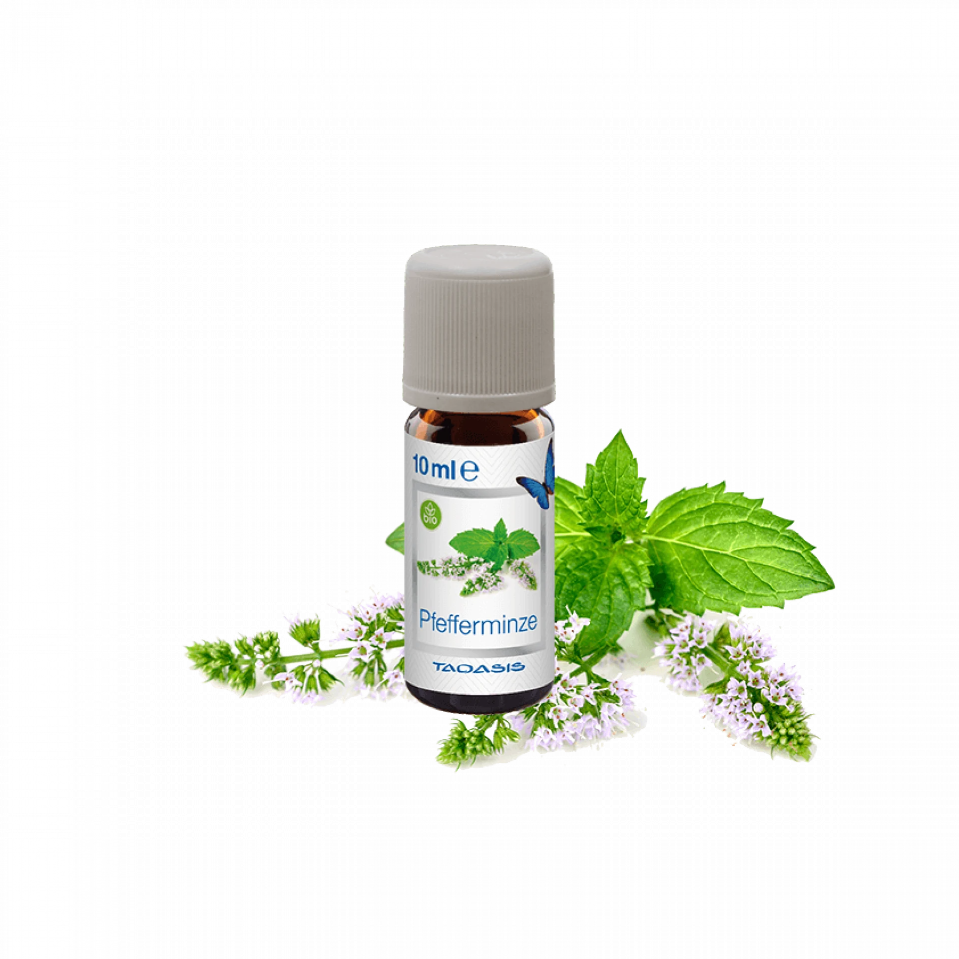 Venta pipirmėčių aromato aliejus, 10 ml buteliukas