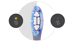 dantu-sepetelis-atsarginis-sepetelis-philips