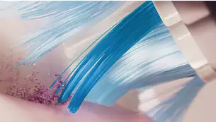 dantu-sepetelis-atsarginis-sepetelis-philips