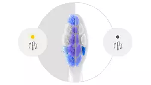 dantu-sepetelis-philips-jautrus-hx605487