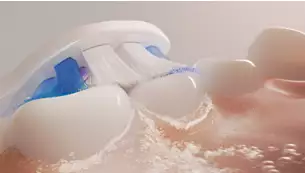 dantu-sepetelis-philips-jautrus-hx605487