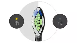 dantu-sepetelis-philips-optimal-baltas