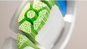 dantu-sepetelis-philips-optimal-baltas