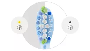 dantu-sepetelis-philips-premium-plaque