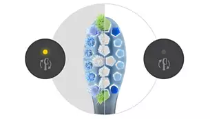 dantu-sepetelis-philips-premium-plaque