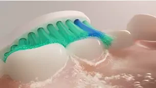 Philips Sonicare ProResults 8 dalių šepetėlių galvučių pakuotė, baltos, HX6018/87 aprašymas - Prekės nuotrauka