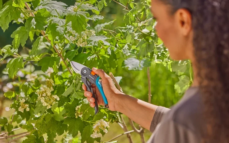 Gardena Sekatorius PremiumCut šviežiai medienai, su prasilenkiančiais ašmenimis, 22 mm kirpimo skersmeniu | 12241-20 aprašymas - Prekės nuotrauka