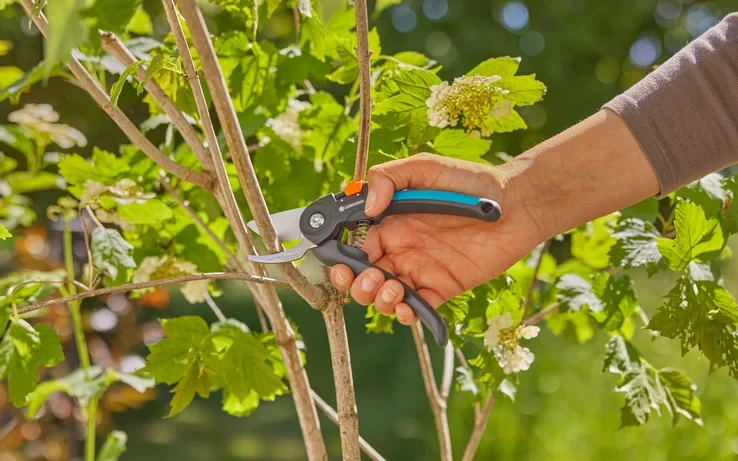 Gardena Sekatorius PremiumCut šviežiai medienai, su prasilenkiančiais ašmenimis, 22 mm kirpimo skersmeniu | 12241-20 aprašymas - Prekės nuotrauka