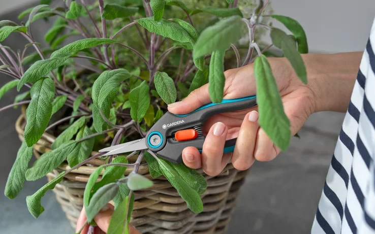Gardena sodo žirklės Gardena sodo žirklės