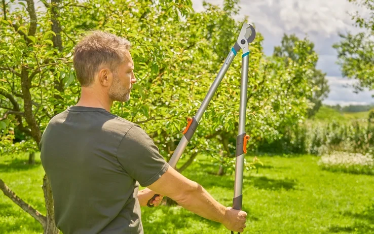 Gardena teleskopinės genėjimo žirklės šviežiai medienai TeleCut Basic | 12020-20 aprašymas - Prekės nuotrauka