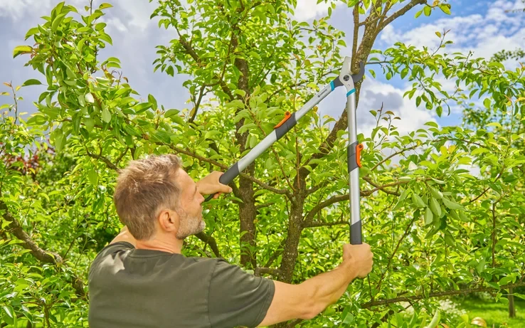Gardena teleskopinės genėjimo žirklės šviežiai medienai TeleCut Basic | 12020-20 aprašymas - Prekės nuotrauka