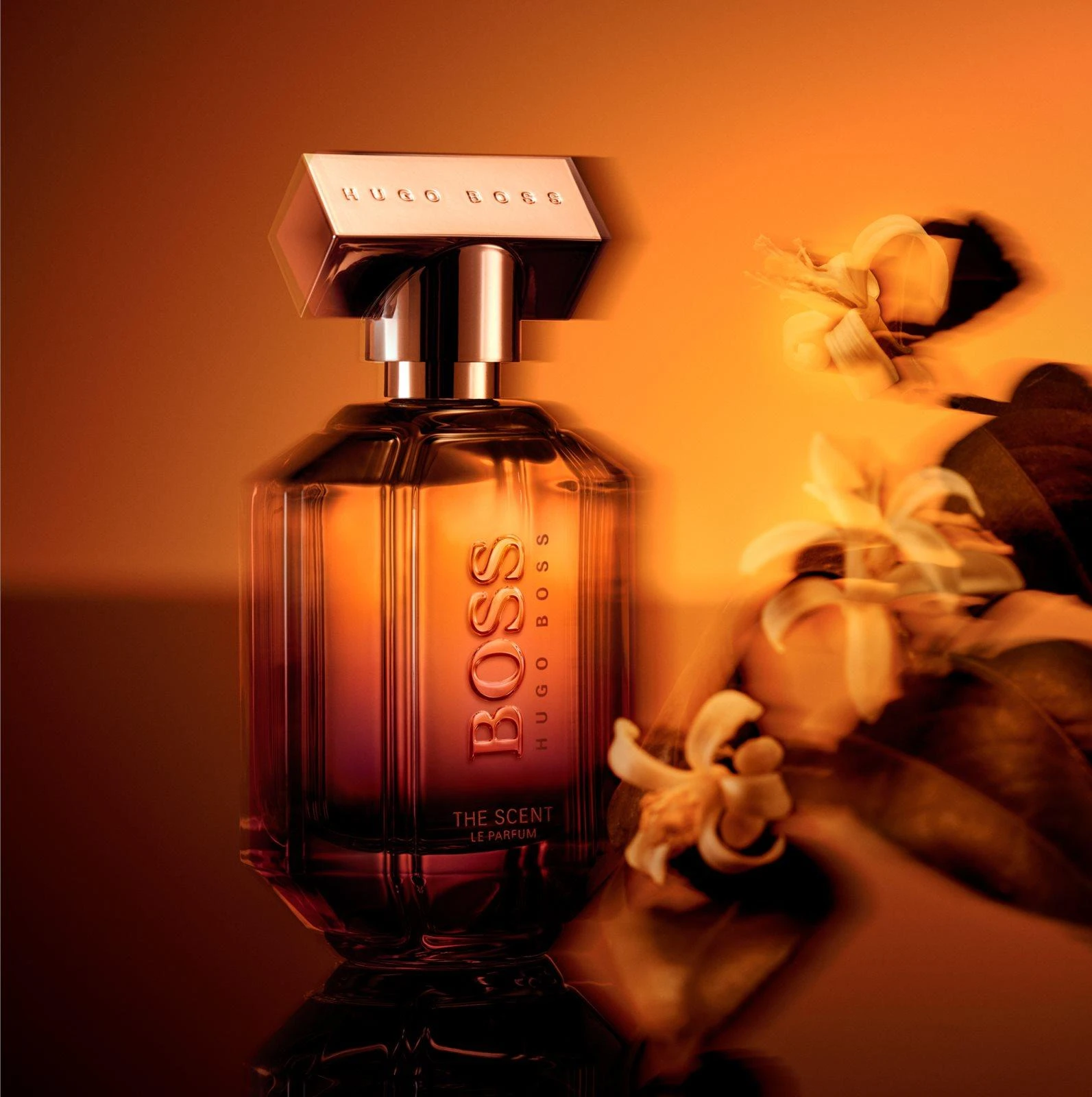 Kvepalai moterims Hugo Boss The Scent Le Parfum for Her PP, 50 ml aprašymas - Prekės nuotrauka
