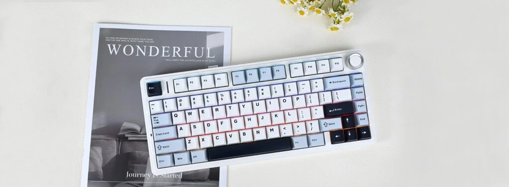 Žaidimų klaviatūra Aula F75 ) - Leobog Reaper Switches  (Glacier Mėlyna) aprašymas - Prekės nuotrauka