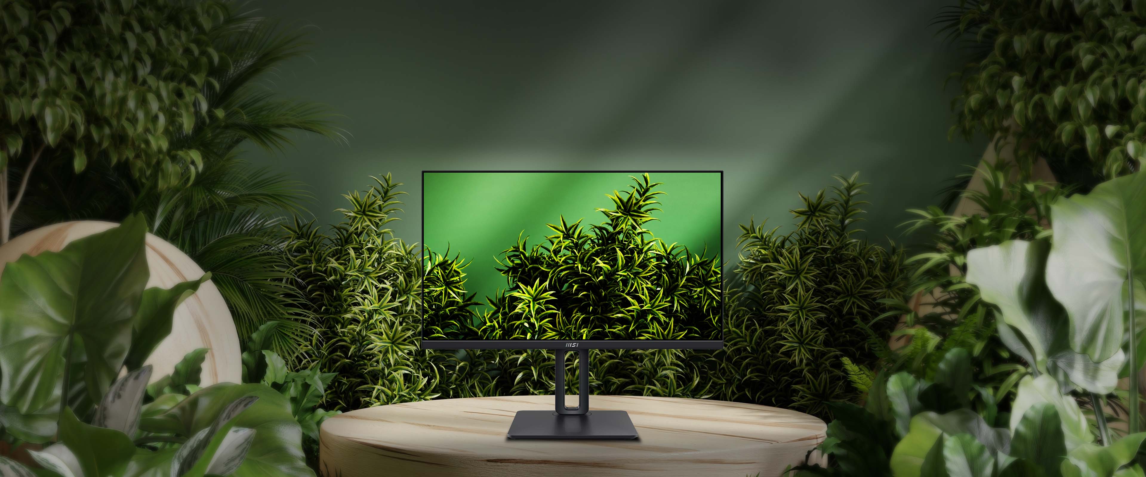 Monitorius MSI PRO MP245PG - 24