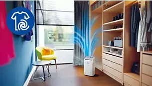 Oro sausintuvas-valytuvas Philips DE5305/11, 245 W aprašymas - Prekės nuotrauka