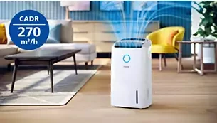 Oro sausintuvas-valytuvas Philips DE5305/11, 245 W aprašymas - Prekės nuotrauka