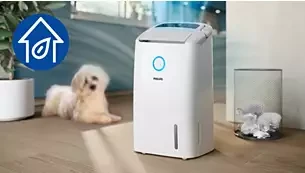 Oro sausintuvas-valytuvas Philips DE5305/11, 245 W aprašymas - Prekės nuotrauka