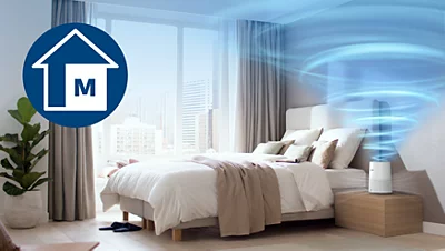 Oro valytuvas Philips 600i serija AC0650/10 aprašymas - Prekės nuotrauka