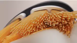 philips-sonicare-dantu-sepetelis-galvutes