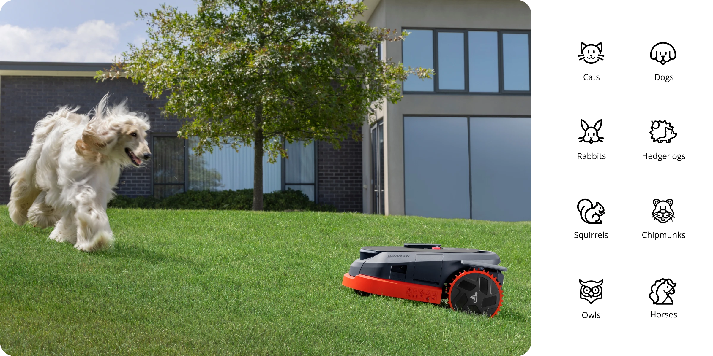 Segway Navimow X330E Belaidis vejos pjovimo robotas aprašymas - Prekės nuotrauka