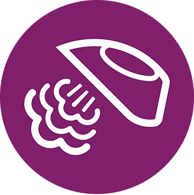 Lyginimo sistema Philips GC9660/30, 2700 W, Violetinė aprašymas - Prekės nuotrauka