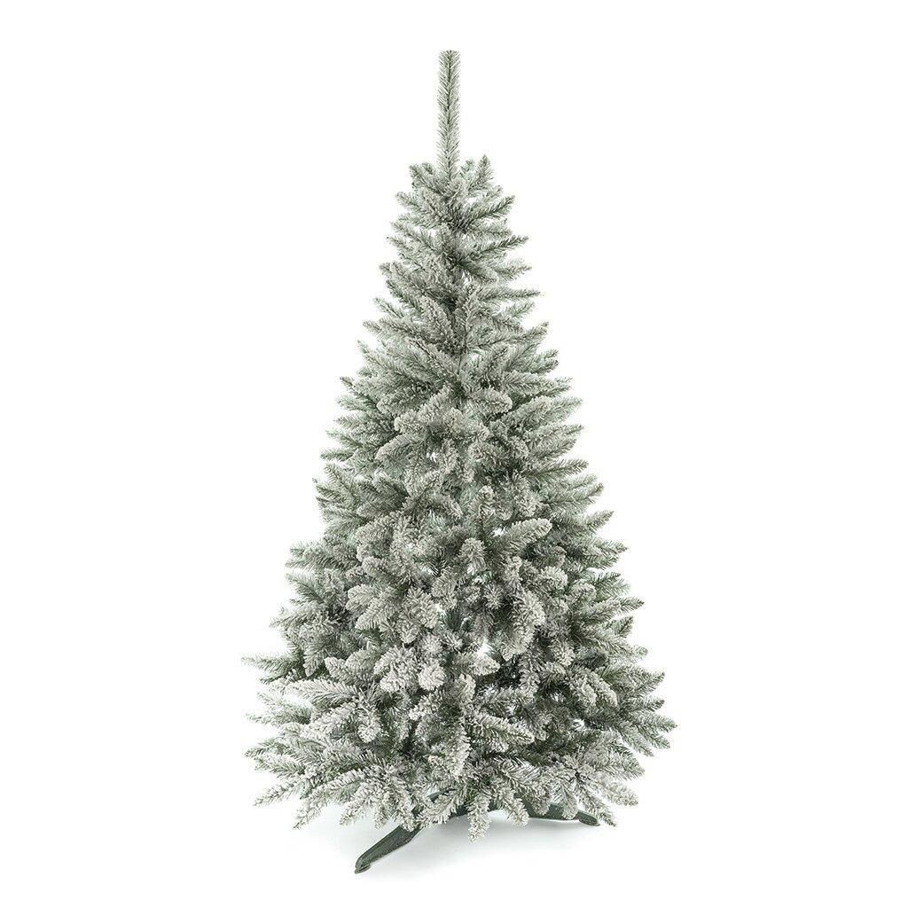 Dirbtinė eglutė SPRUCE su sniegu, 2.20m