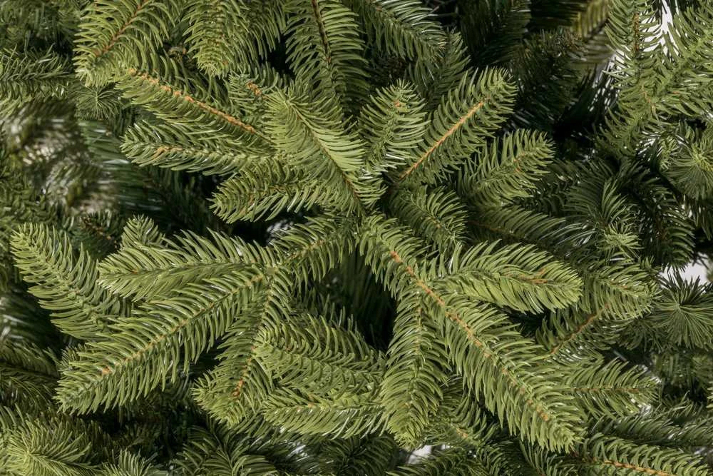 Dirbtinė Kalėdų eglutė SPRUCE LUX PE, 180 cm