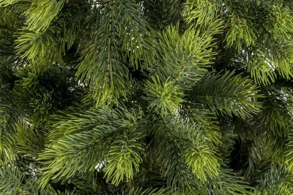 Dirbtinė Kalėdų eglutė SIBERIAN SPRUCE LUX PE, 220 cm