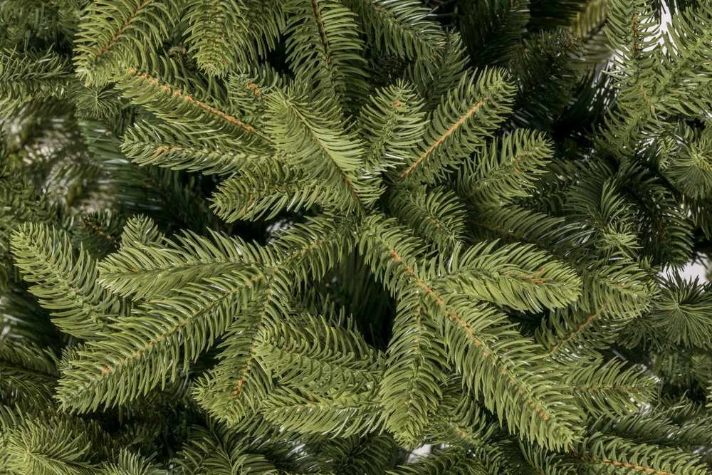 Dirbtinė Kalėdų eglutė SPRUCE LUX PE, 220 cm
