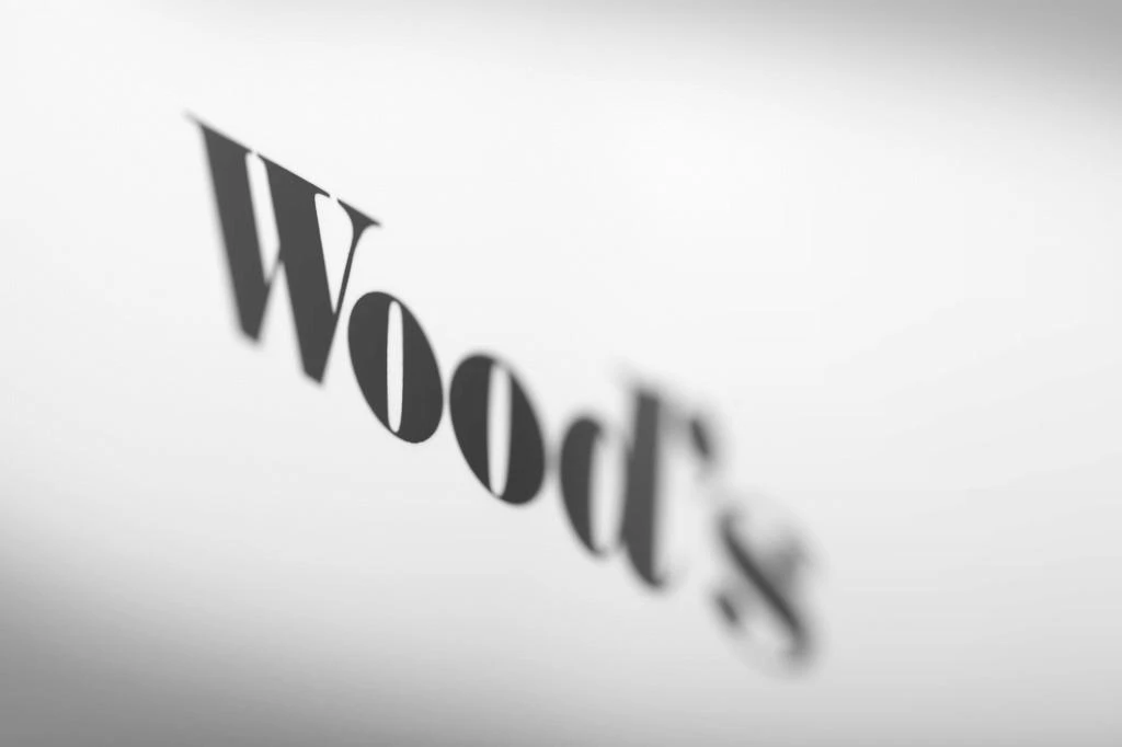 Oro sausintuvas - oro valytuvas AD20 Wood's