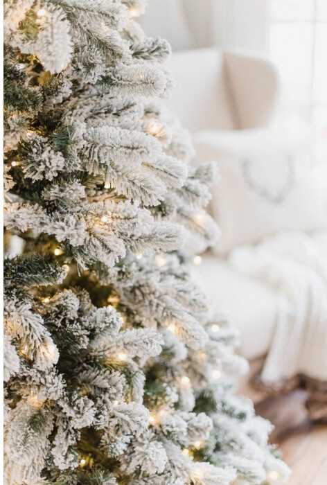 PE Kalėdų eglutė Classic 160 cm, apsnigta (210/160/GS) aprašymas - Prekės nuotrauka