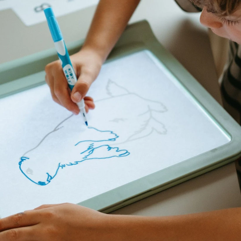 KIDYWOLF šviečianti dvipusė piešimo planšetė KIDYDRAW-PRO, žalia
